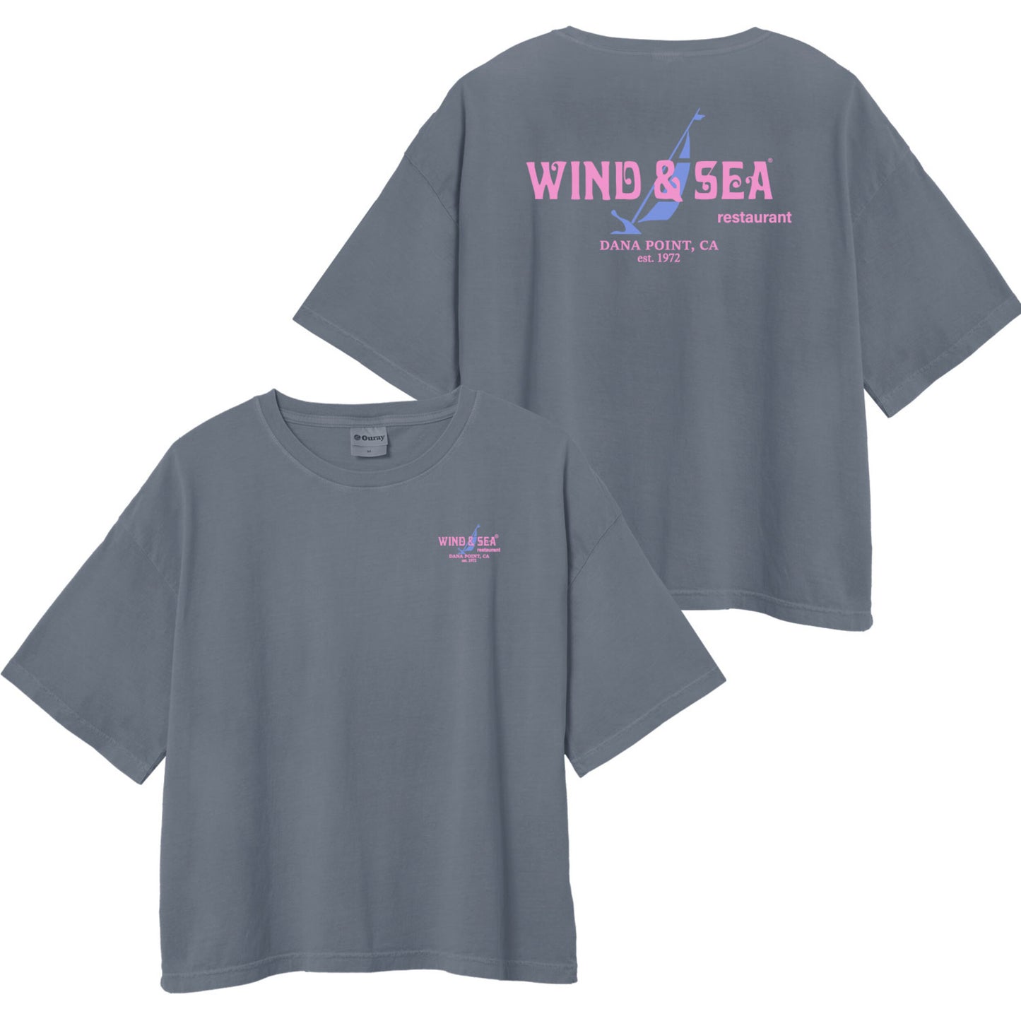 Seahorse Cropped Tee