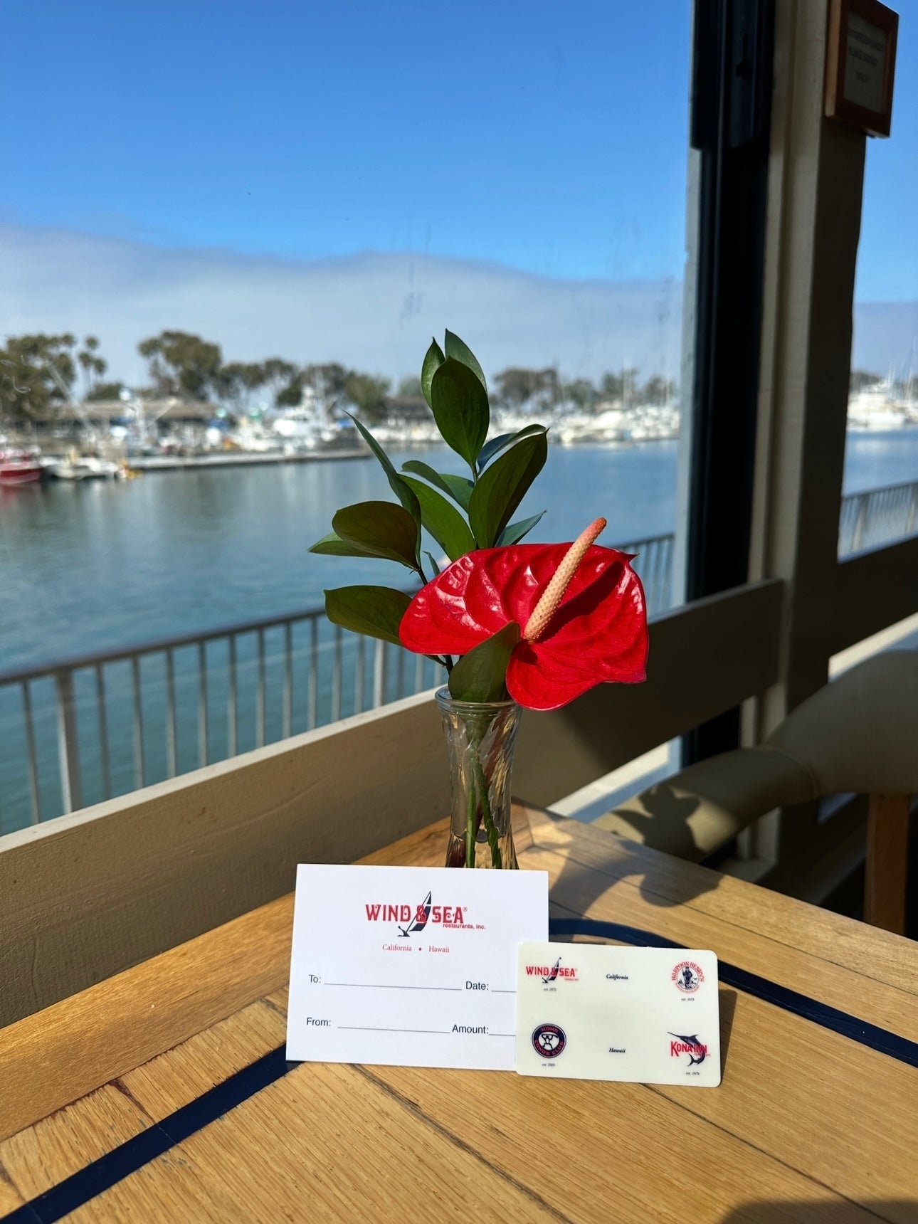 Gift Card (Mailed)
