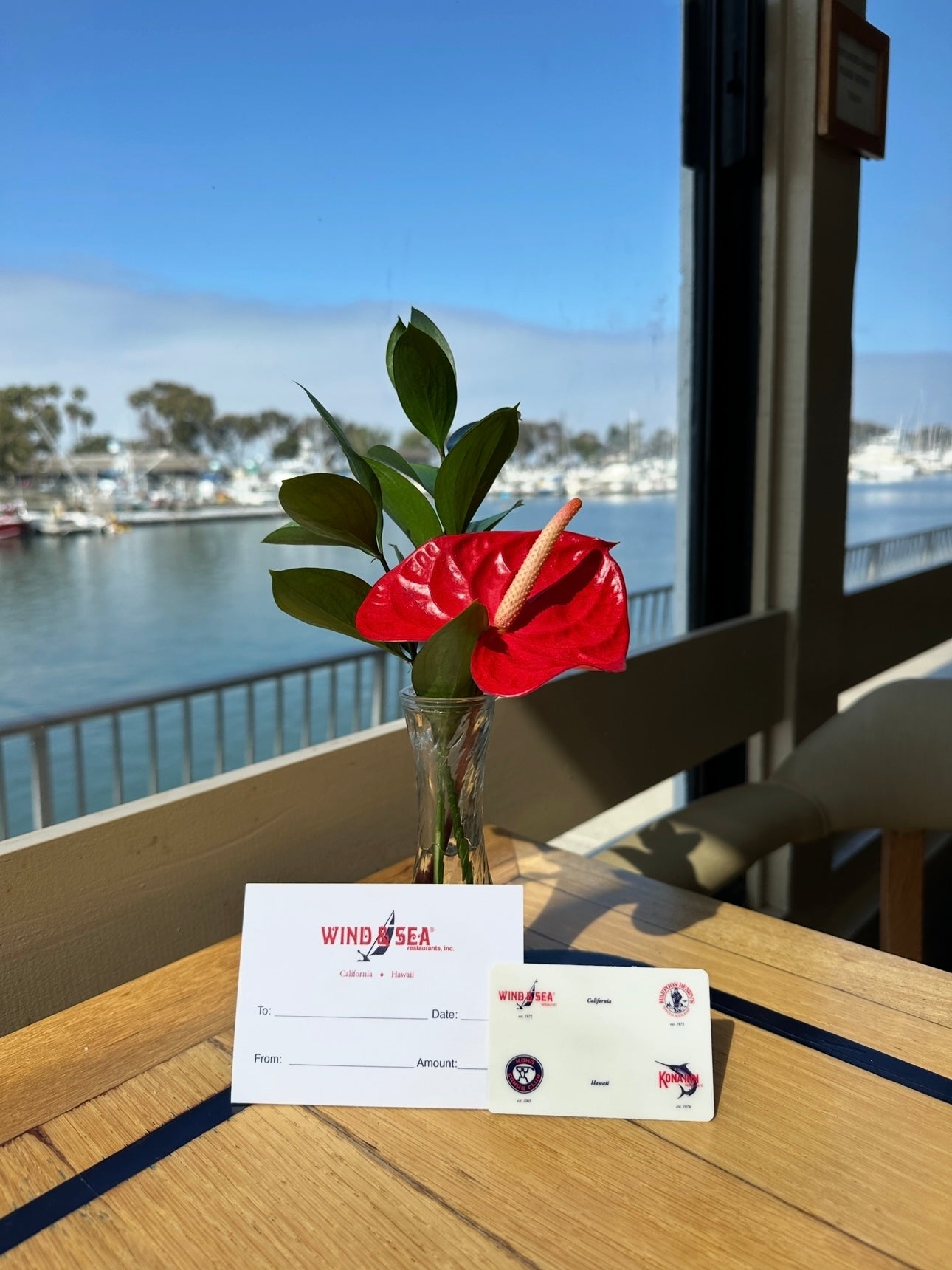 Gift Card (Mailed)